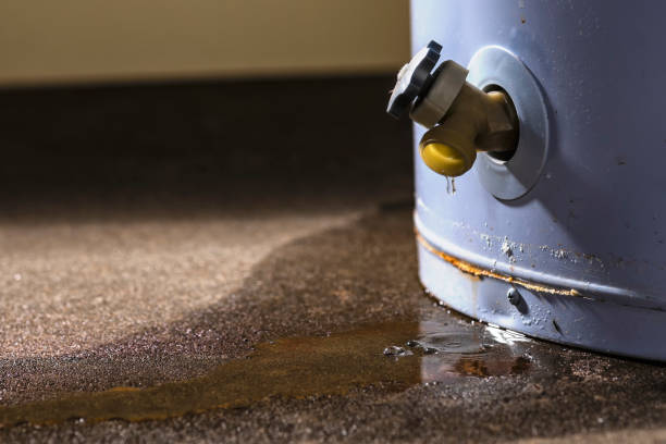 Best Water damage restoration near me  in Benavides, TX
