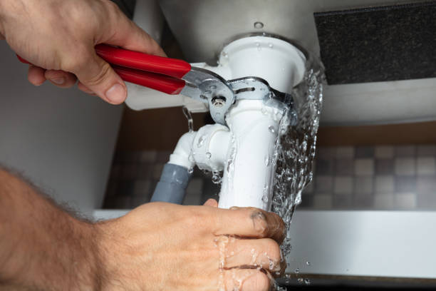 Best Water damage cleanup near me  in Benavides, TX