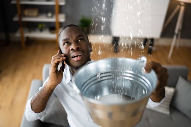 Best Local water damage restoration  in Benavides, TX