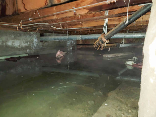 Benavides, TX Water damage restoration Company