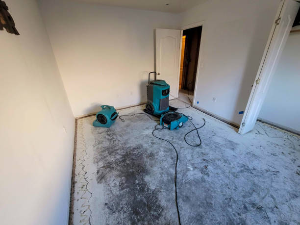 Best Carpet water damage restoration  in Benavides, TX