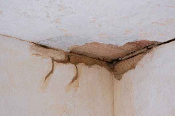 Best Water damage cleanup near me  in Benavides, TX