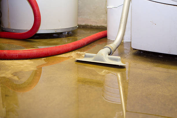 Sewage cleanup and water damage restoration in Benavides, TX