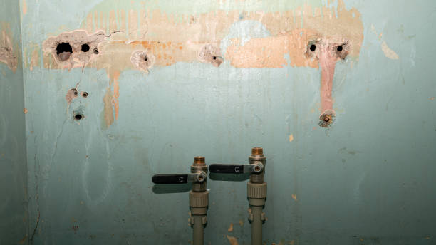 Best Water damage restoration near me  in Benavides, TX