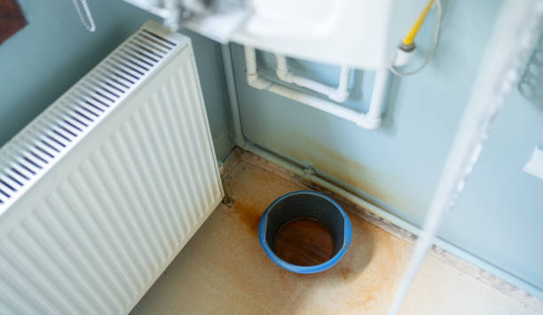 Best Local water damage restoration  in Benavides, TX