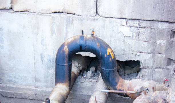 Best Ceiling water damage repair  in Benavides, TX