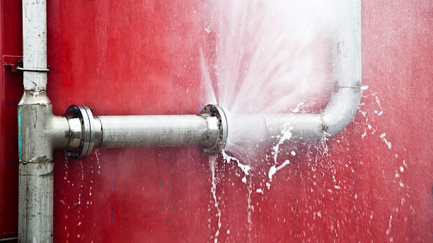 Best Flood restoration services  in Benavides, TX