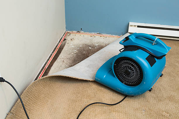 Best Carpet water damage restoration  in Benavides, TX